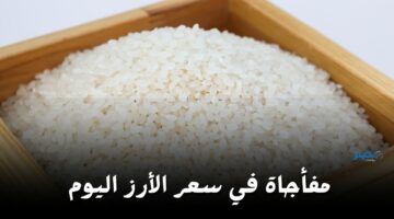 بعد آخر تراجع.. أعرف سعر الأرز اليوم الأربعاء 24 أبريل في السوق وصل كام
